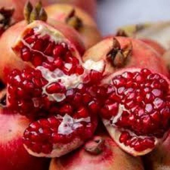 Гранат Малисси (Malissi) 