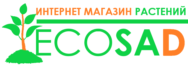 Интернет-магазин саженцев - Ecosad.com.ua 
